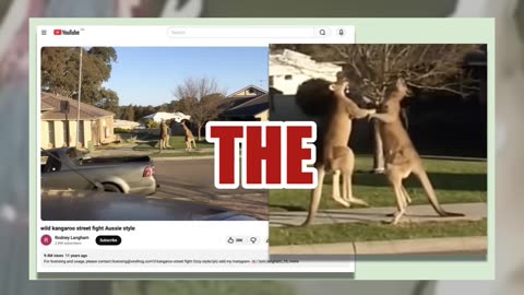 Fact Check: Video Of Kangaroo Kicking Halloween Decoration Witch Is NOT Real -- It's AI Generated