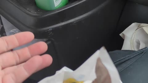 McDonalds Minecraft Nether Flame Sauce Taste Test The Fast-Food Restaurant & Dessert Review Guys