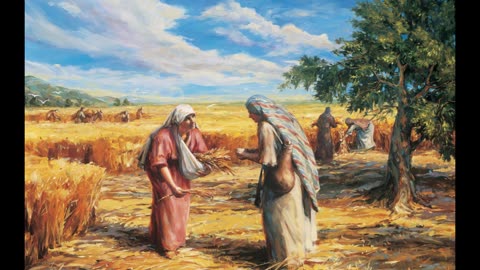 The stranger in the field