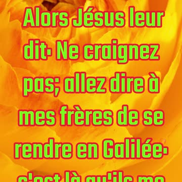"N’ayez pas peur : Allez dire à mes frères" Matthieu 28:10 #shorts #youtube #ytshorts #shortvideo