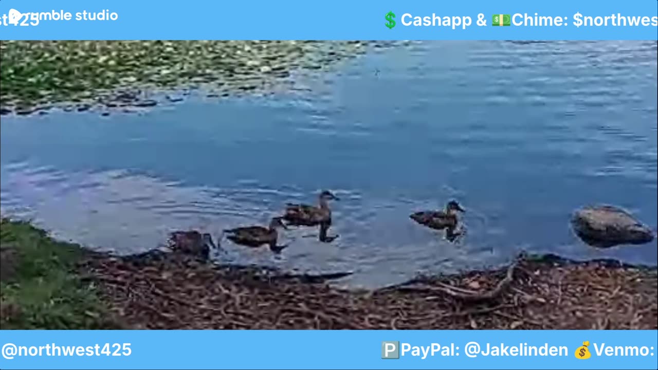 LIVE BY THE LAKE! WELCOME EVERYBODY 🙏