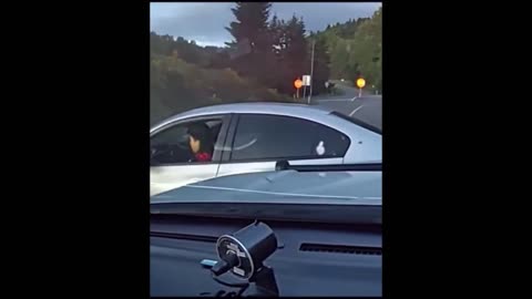 Thriller Police Chase || Police Chase Accident || Police Chase Real Life GTA