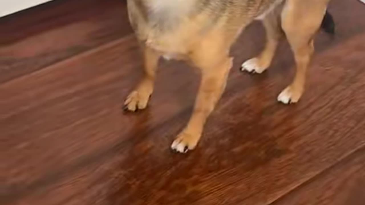He's so convincing...wink