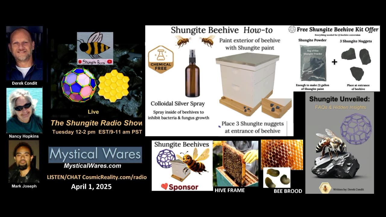 SHUNGITE REALITY 4/1/25 - Beehive Sponsor, Beekeeper, Healing