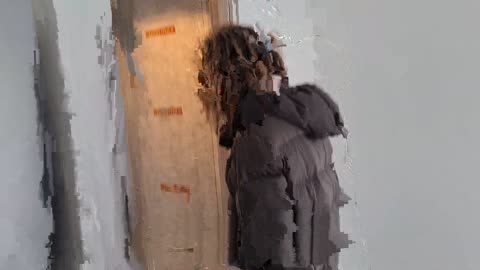 Part 43 Building our Cabin ✨