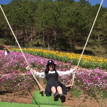 [ĐÀ LẠT] TRANG LONG ĐI CHƠI ĐÀ LẠT (17.12.2019) - SHORT