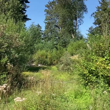 One Vision At A Time | Path and Tarot Reading