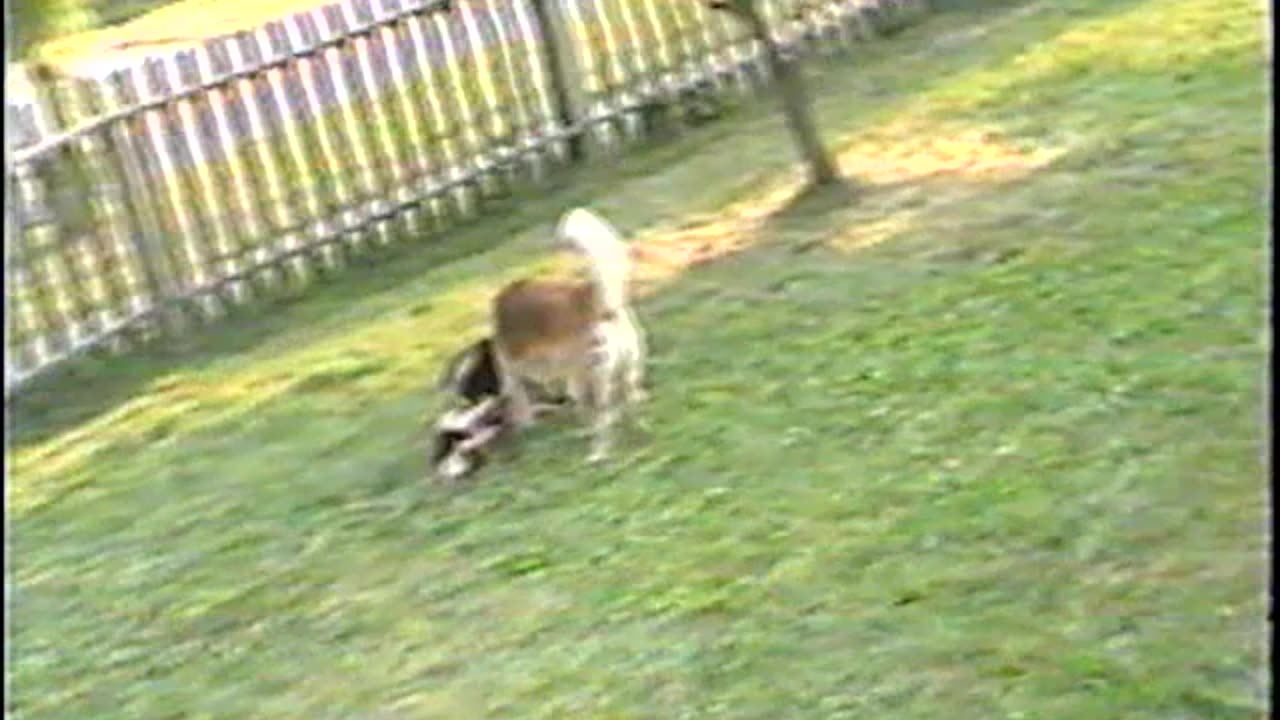 2001-VA-Home-5