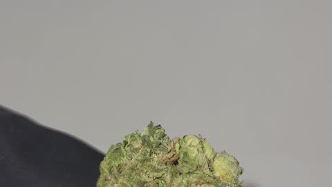 Log Cabin THC Flower