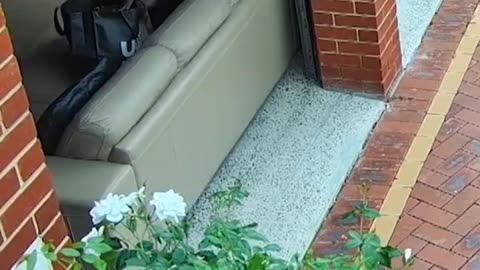 Usual suspect with a hammer tries to rob a house but is chased away by elderly owners. Heroes.