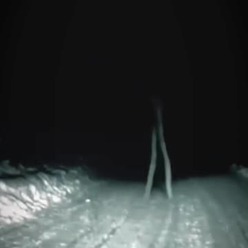 Real Nightcrawler Sighting Or Just A Hoax?