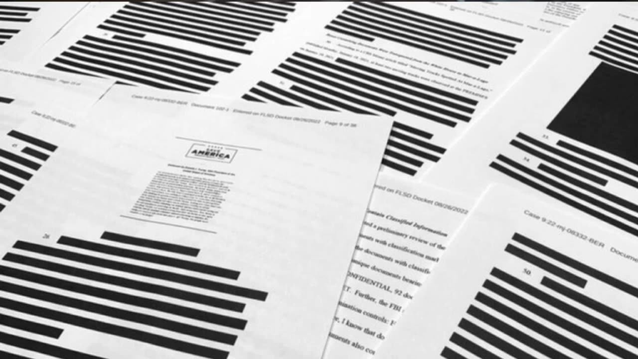 REDACTED EPSTEIN FILES COVER UP