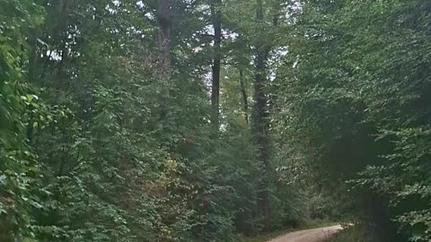 Do we need religion to humanize us?