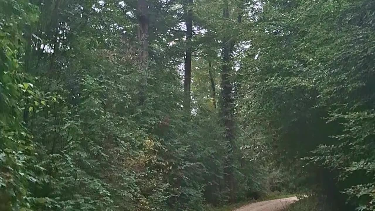 Do we need religion to humanize us?