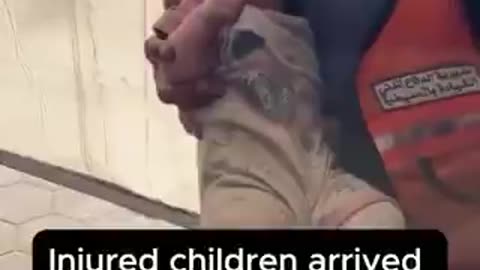 Slaughter of the unjustified