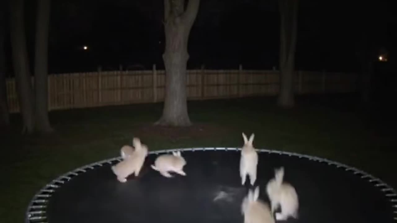 🥰🥰🥰