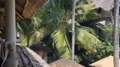 Islamic video