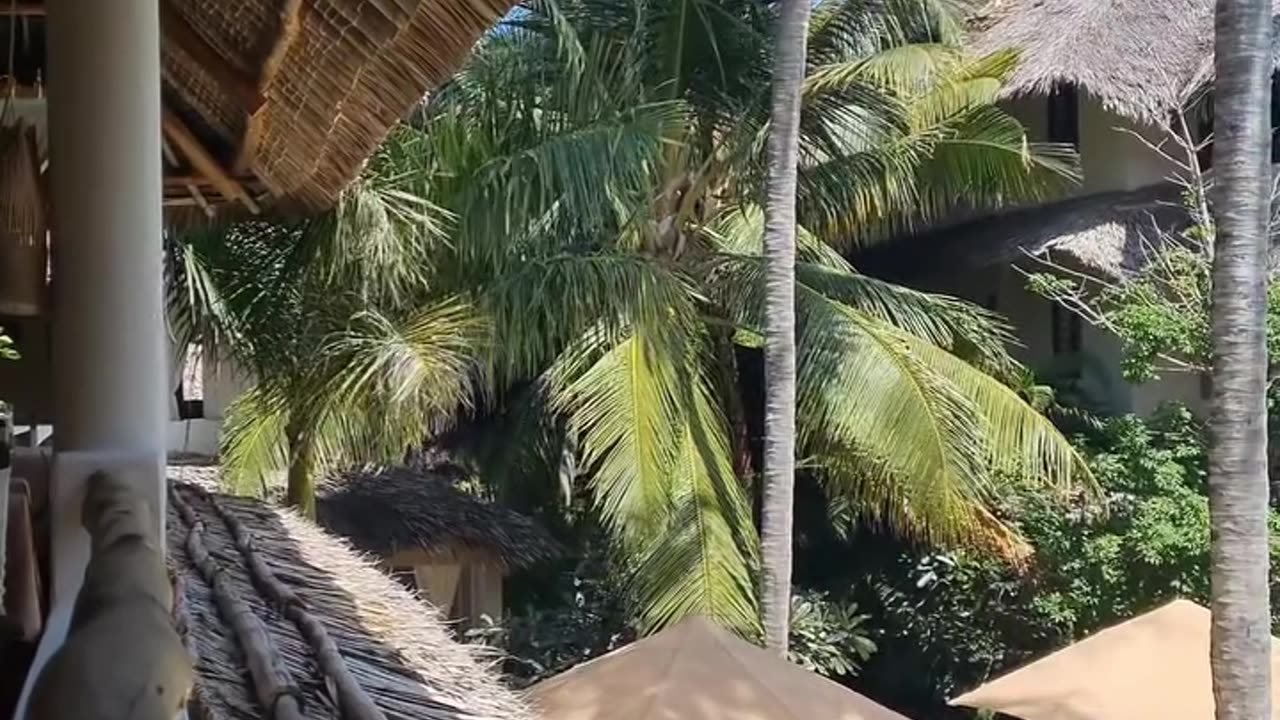 Islamic video
