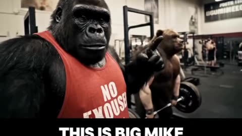 # gym blogs