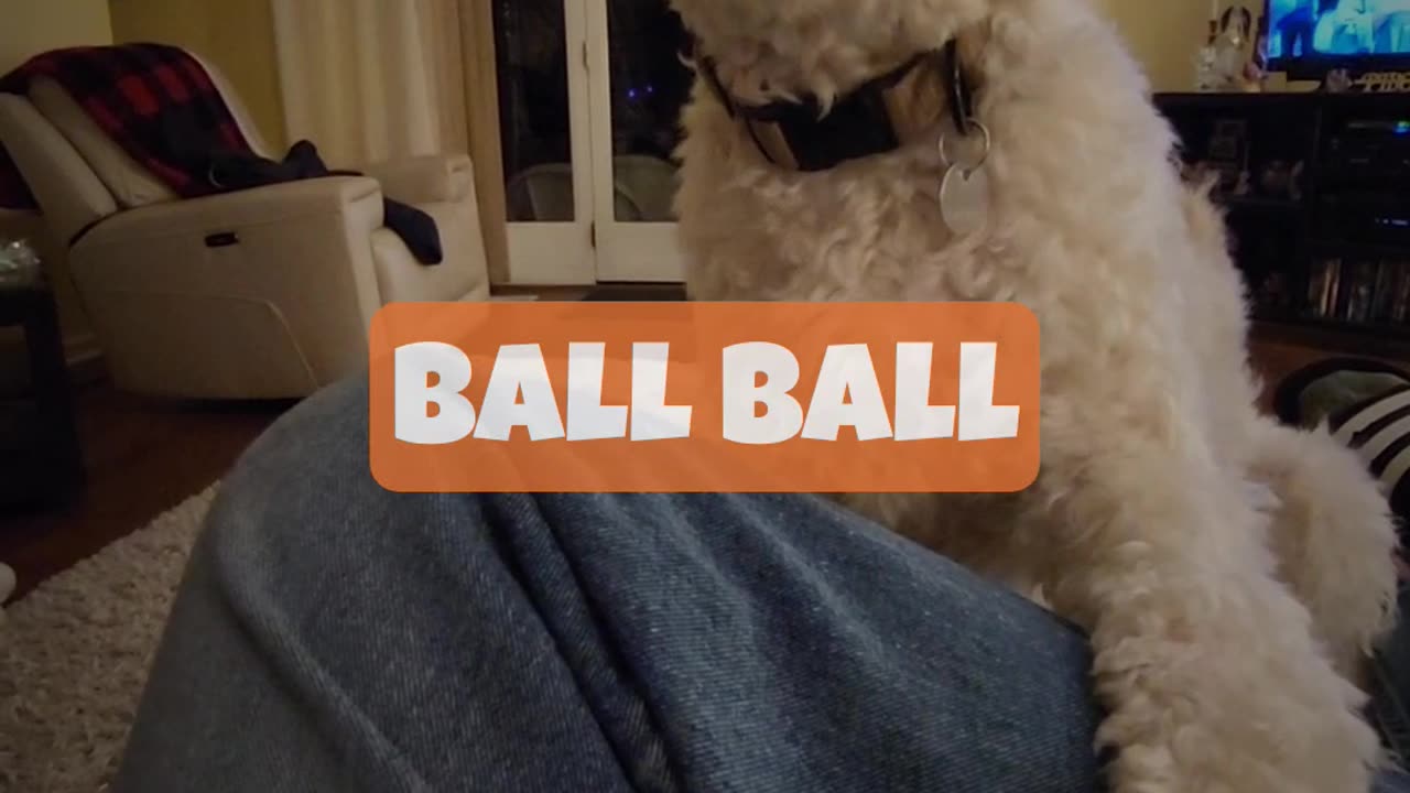 Bosco Norbert (ball ball)