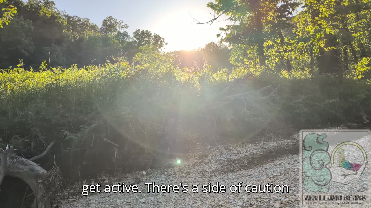 Weekly Energy Vibes Aug 4-10, 2025