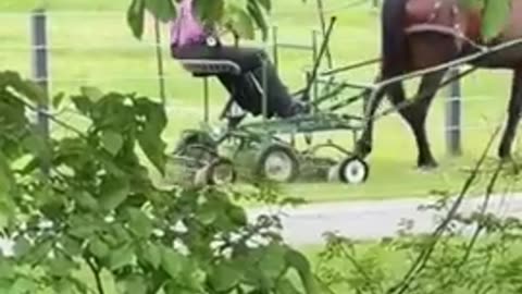 An Amish Lawnmower