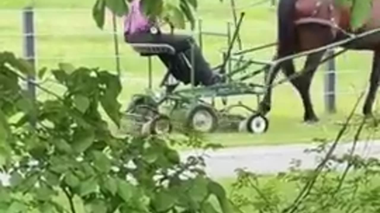 An Amish Lawnmower