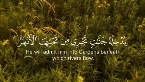 Beautiful Quran Recitation – Listen and Relax 😴💜