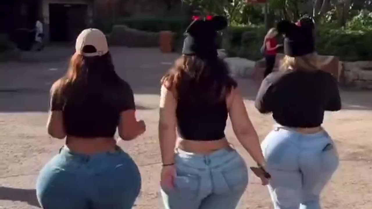 Animal Kingdom