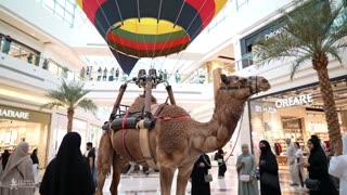 only in Dubai would I see this.hd