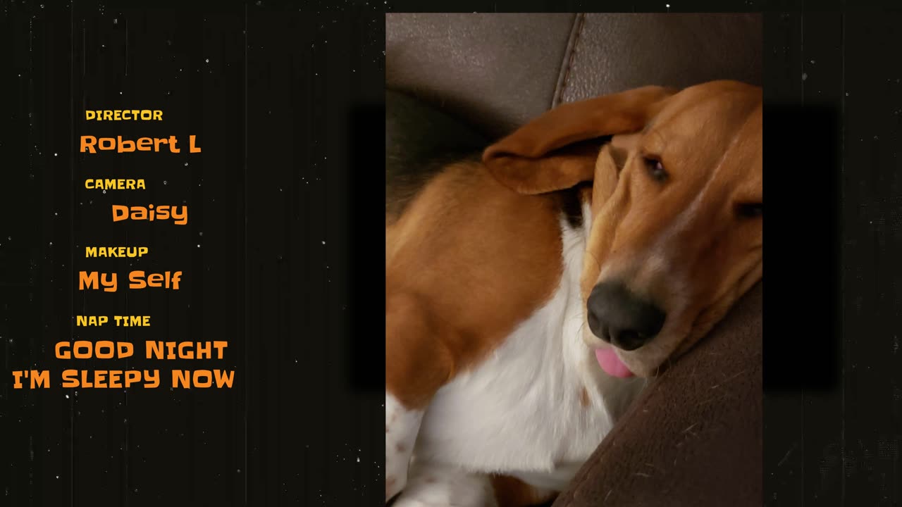 Daisy Gopro