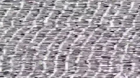 New enemy tactic: occupiers set up FPV ambushes on civilian cars
