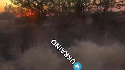 Ukraine war combat footage 8/6/25