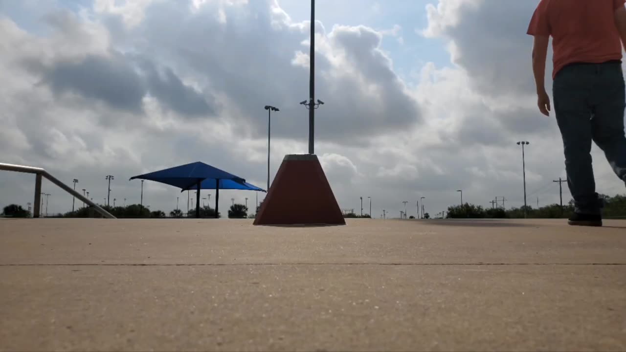 Being Stupid and Stubborn