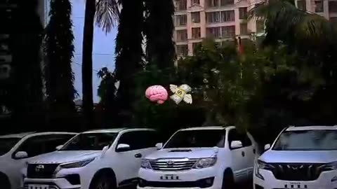 Viral short video