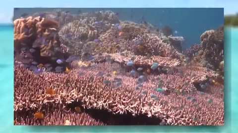 Part_01 The Ocean (4K UltraHD)- Relaxation Film - Peaceful Relaxing Music