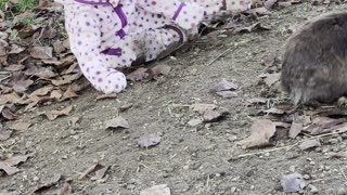 Baby Kayla Pretends to Be a Bunny 🐰