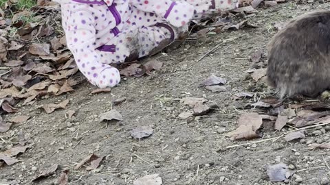 Baby Kayla Pretends to Be a Bunny 🐰