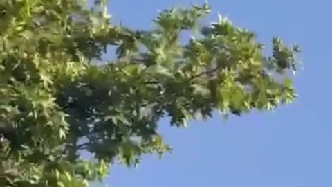 🎯🛡️ Israel Iran War | Iranian AAA Engages Hermes 900 Drone | RCF
