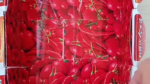 DIY Paper Decorations Using Folding