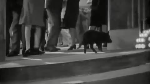 Sunrise: A Song of Two Humans (1927) Full movie | Romantic drama