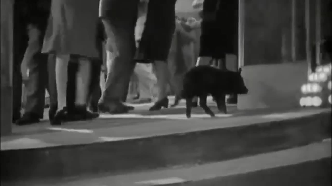 Sunrise: A Song of Two Humans (1927) Full movie | Romantic drama