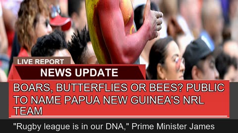 Boars Butterflies or Bees Public to Name Papua N