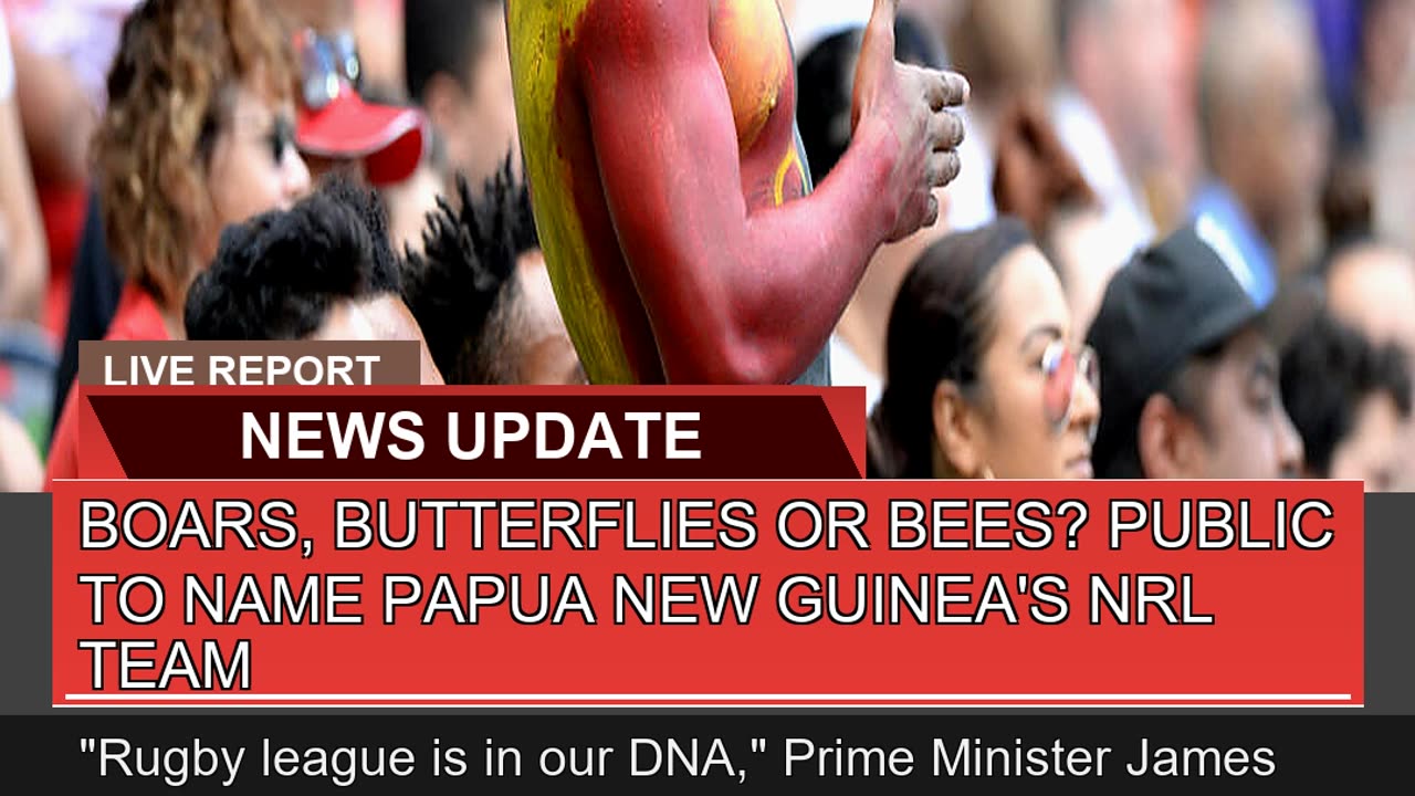 Boars Butterflies or Bees Public to Name Papua N