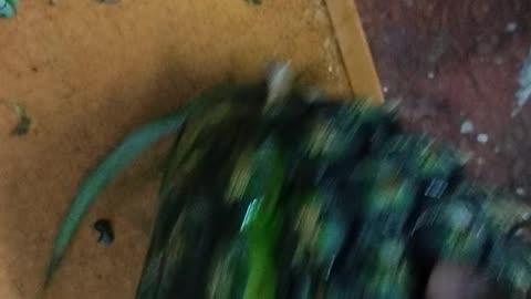 Unique Cutting skills
