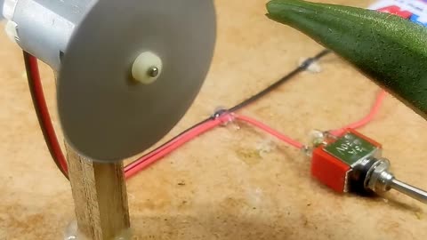 Dc motor • portable vegitable cutter #shorts #youtubeshorts