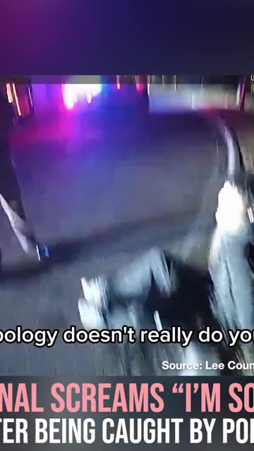 Criminal Screams "I'm Sorry!" After Being Caught by Police