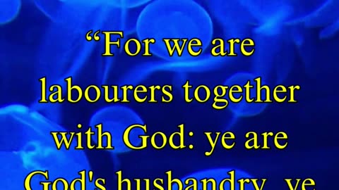 1 Corinthians 3:9