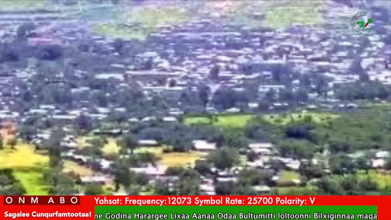 Oduu Ganama ONM-ABO Adoolessa 8-2025 itti dhiyaadhaa!