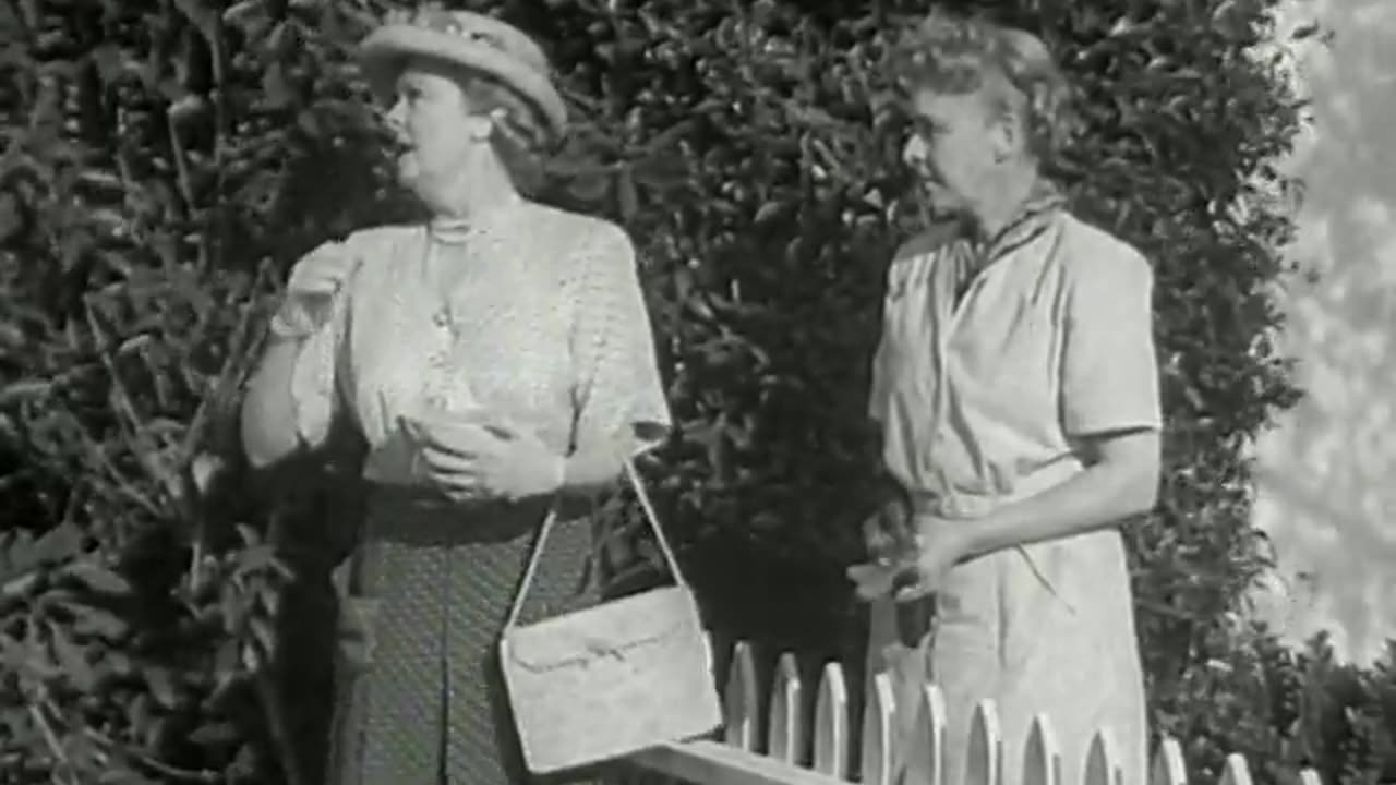 Cause for Alarm! (1951)